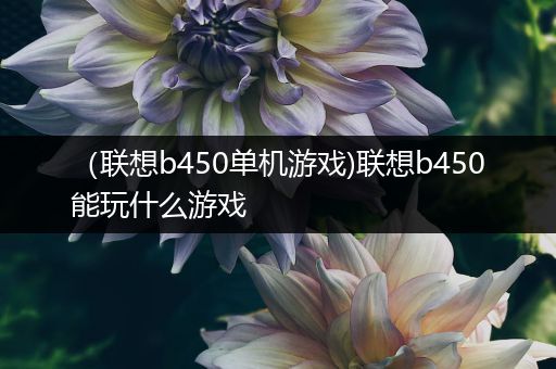 （联想b450单机游戏)联想b450能玩什么游戏