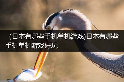 （日本有哪些手机单机游戏)日本有哪些手机单机游戏好玩