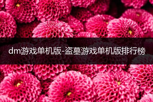 dm游戏单机版-盗墓游戏单机版排行榜