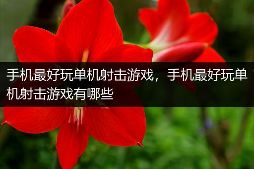手机最好玩单机射击游戏，手机最好玩单机射击游戏有哪些