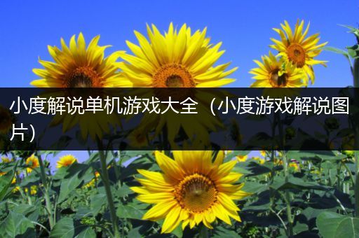 小度解说单机游戏大全（小度游戏解说图片）