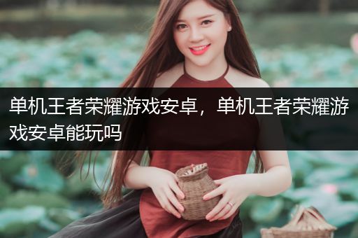 单机王者荣耀游戏安卓，单机王者荣耀游戏安卓能玩吗
