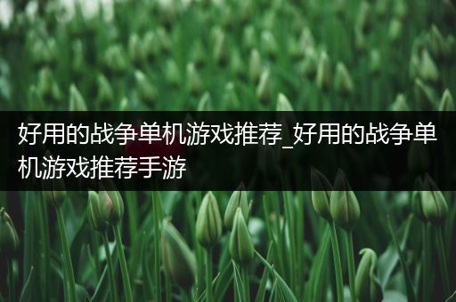 好用的战争单机游戏推荐_好用的战争单机游戏推荐手游