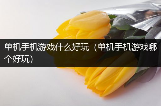 单机手机游戏什么好玩（单机手机游戏哪个好玩）