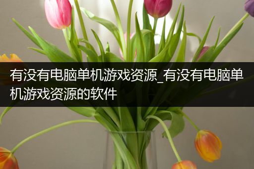 有没有电脑单机游戏资源_有没有电脑单机游戏资源的软件