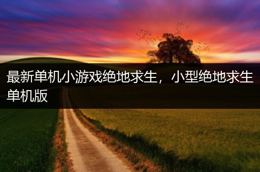 最新单机小游戏绝地求生，小型绝地求生单机版