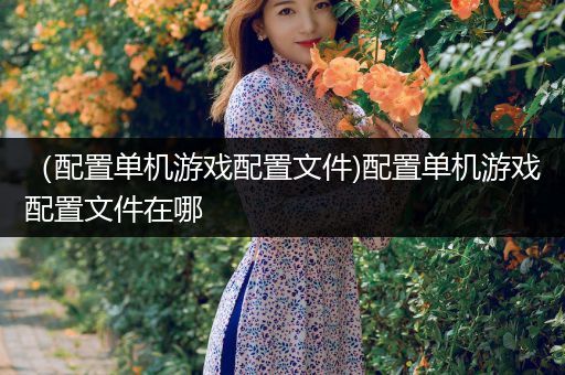 （配置单机游戏配置文件)配置单机游戏配置文件在哪