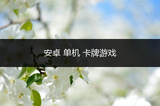 安卓 单机 卡牌游戏