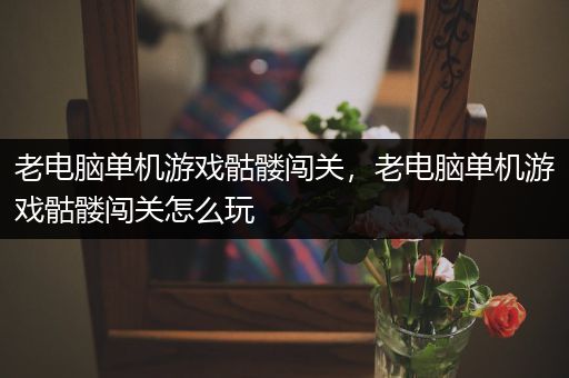 老电脑单机游戏骷髅闯关，老电脑单机游戏骷髅闯关怎么玩