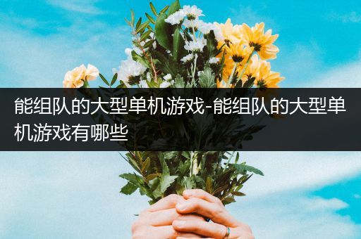 能组队的大型单机游戏-能组队的大型单机游戏有哪些