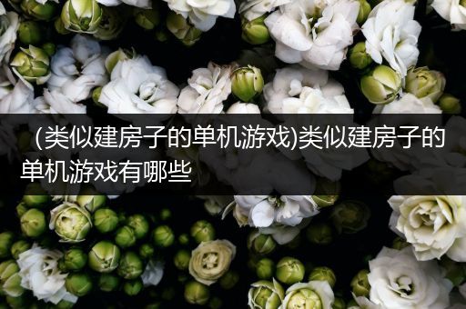 （类似建房子的单机游戏)类似建房子的单机游戏有哪些