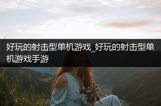 好玩的射击型单机游戏_好玩的射击型单机游戏手游