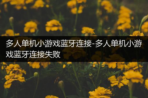 多人单机小游戏蓝牙连接-多人单机小游戏蓝牙连接失败