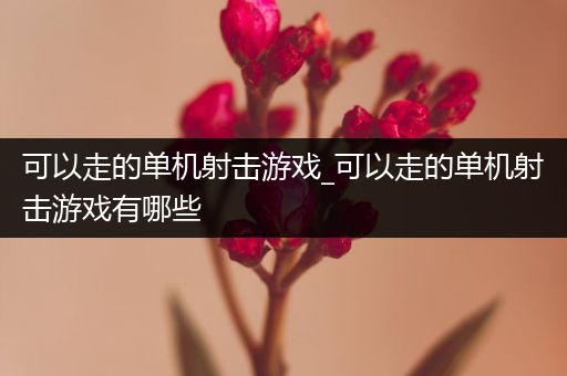 可以走的单机射击游戏_可以走的单机射击游戏有哪些