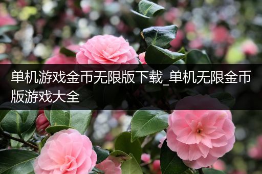 单机游戏金币无限版下载_单机无限金币版游戏大全