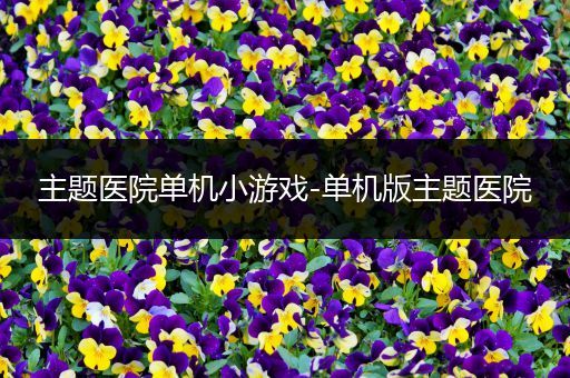 主题医院单机小游戏-单机版主题医院