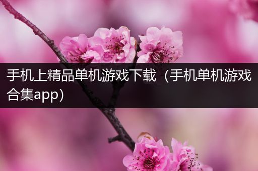 手机上精品单机游戏下载（手机单机游戏合集app）