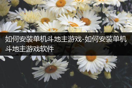 如何安装单机斗地主游戏-如何安装单机斗地主游戏软件