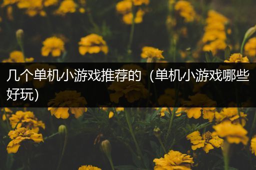 几个单机小游戏推荐的（单机小游戏哪些好玩）