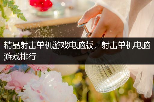 精品射击单机游戏电脑版，射击单机电脑游戏排行