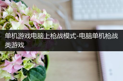 单机游戏电脑上枪战模式-电脑单机枪战类游戏