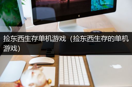 捡东西生存单机游戏（捡东西生存的单机游戏）