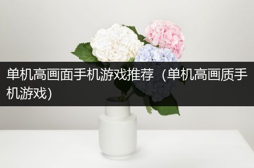单机高画面手机游戏推荐（单机高画质手机游戏）