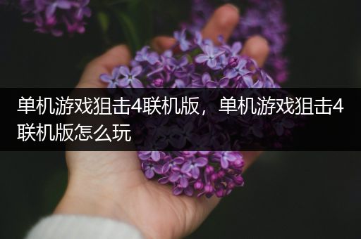 单机游戏狙击4联机版，单机游戏狙击4联机版怎么玩
