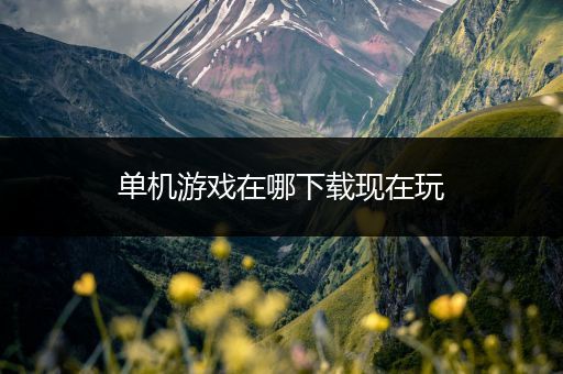 单机游戏在哪下载现在玩
