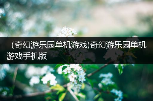 （奇幻游乐园单机游戏)奇幻游乐园单机游戏手机版