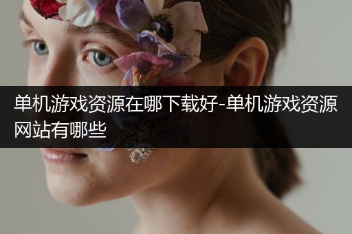 单机游戏资源在哪下载好-单机游戏资源网站有哪些