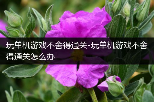 玩单机游戏不舍得通关-玩单机游戏不舍得通关怎么办