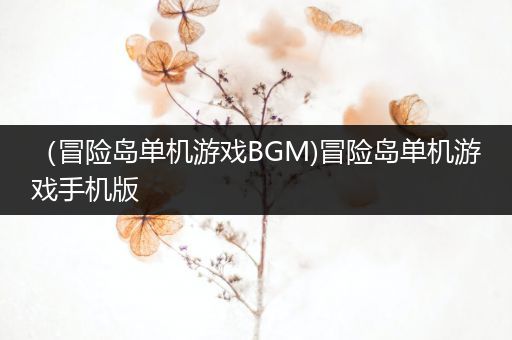 （冒险岛单机游戏BGM)冒险岛单机游戏手机版