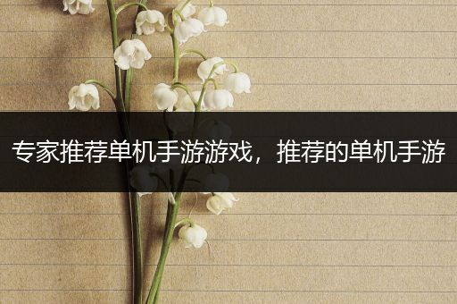 专家推荐单机手游游戏，推荐的单机手游