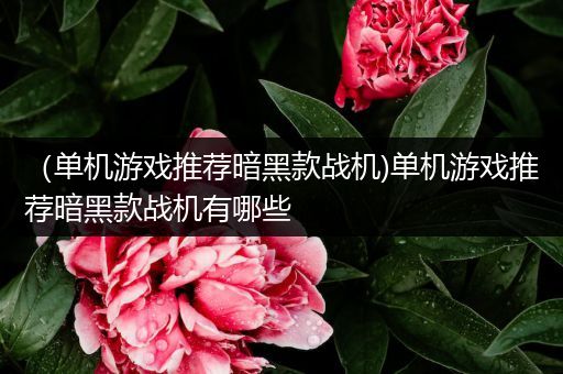 （单机游戏推荐暗黑款战机)单机游戏推荐暗黑款战机有哪些