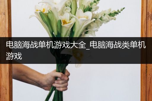 电脑海战单机游戏大全_电脑海战类单机游戏