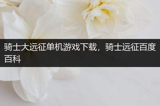 骑士大远征单机游戏下载，骑士远征百度百科