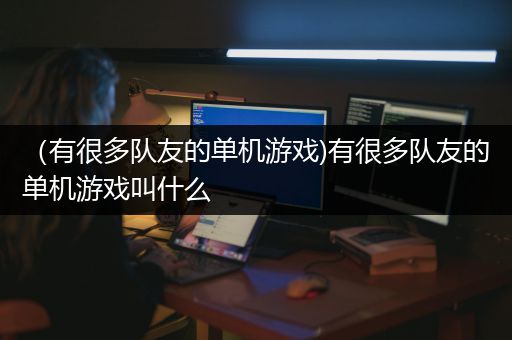 （有很多队友的单机游戏)有很多队友的单机游戏叫什么