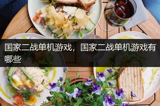 国家二战单机游戏，国家二战单机游戏有哪些