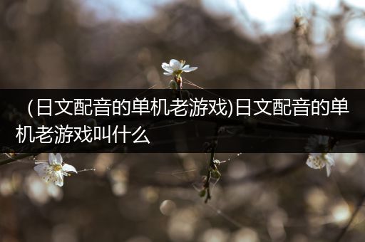 （日文配音的单机老游戏)日文配音的单机老游戏叫什么