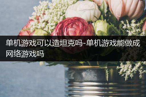 单机游戏可以造坦克吗-单机游戏能做成网络游戏吗