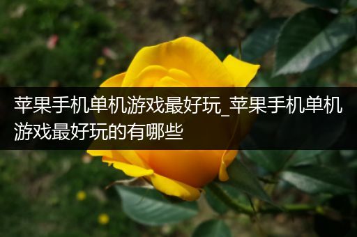 苹果手机单机游戏最好玩_苹果手机单机游戏最好玩的有哪些