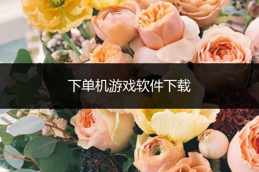 下单机游戏软件下载