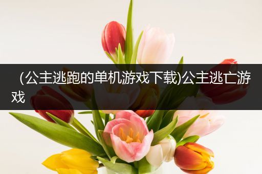 （公主逃跑的单机游戏下载)公主逃亡游戏