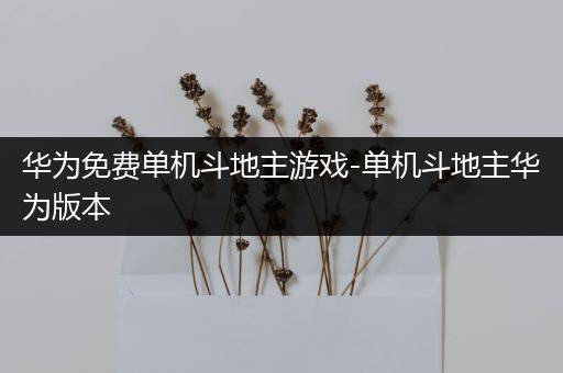 华为免费单机斗地主游戏-单机斗地主华为版本