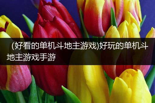 （好看的单机斗地主游戏)好玩的单机斗地主游戏手游