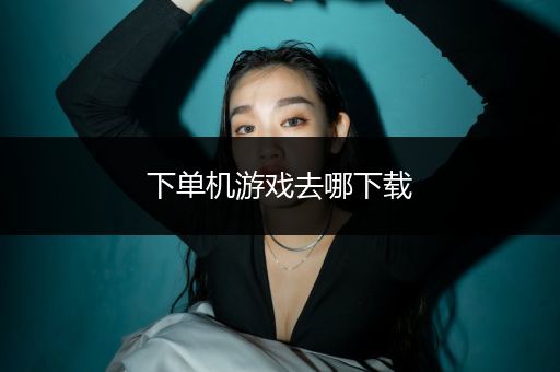 下单机游戏去哪下载