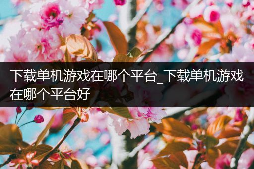 下载单机游戏在哪个平台_下载单机游戏在哪个平台好