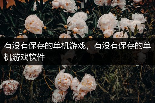 有没有保存的单机游戏，有没有保存的单机游戏软件