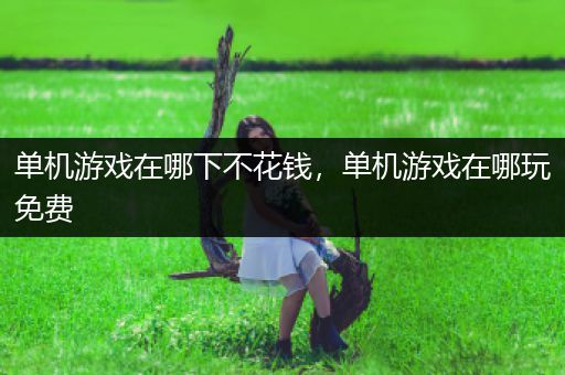 单机游戏在哪下不花钱，单机游戏在哪玩免费
